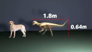 Fossil of Dog-Sized Dinosaur, 'Enigmacursor,' Reveals Ancient Ecosystem Dynamics