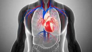 US Doctors Sound Alarm Over Aortic Aneurysms: The 