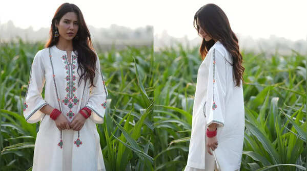 Sonam Bajwa radiating desi charm.