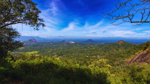 Scenic view of the Lakkidi Gateway in Wayanad, Kerala.