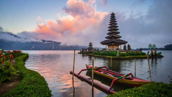 Ubud Rice Terraces in Bali, Indonesia