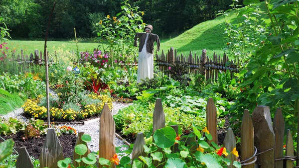 Starting a kitchen garden during the monsoon