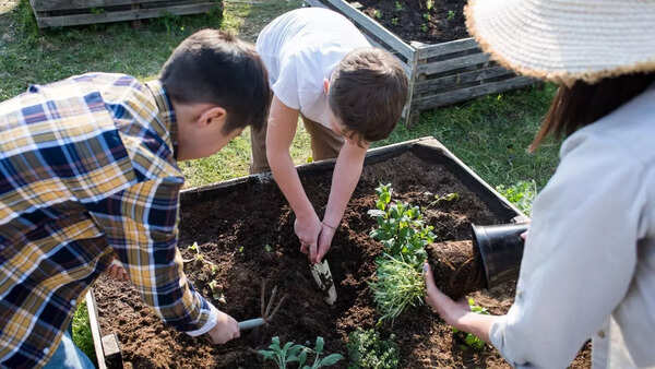 Preparing the soil for monsoon planting