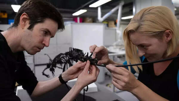 Image illustrating the significance of the discovery for paleontology.