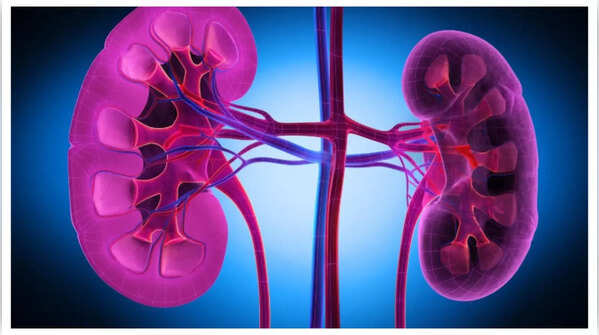 How high uric acid levels can damage your kidneys