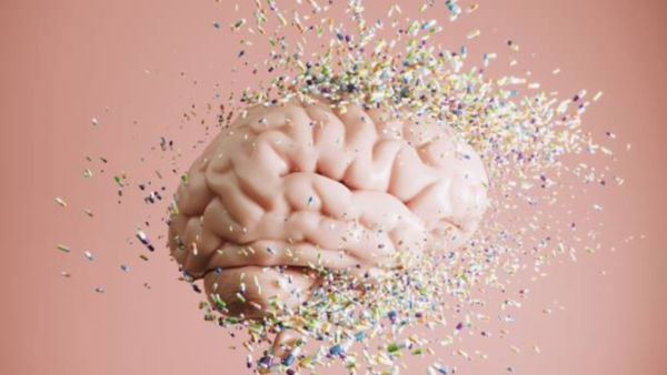 Illustration of the brain highlighting the uncinate fasciculus