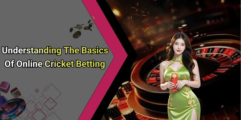 Understanding The Basics Of Online Cricket Betting